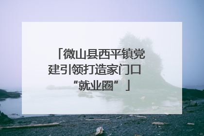 微山县西平镇党建引领打造家门口“就业圈”