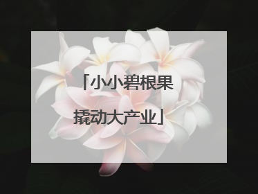 小小碧根果撬动大产业