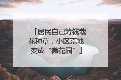 居民自己筹钱栽花种草，小区荒地变成“微花园”