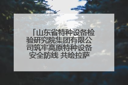 山东省特种设备检验研究院集团有限公司筑牢高原特种设备安全防线 共绘拉萨美好生活画卷