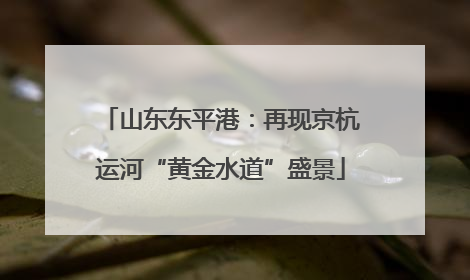 山东东平港：再现京杭运河“黄金水道”盛景