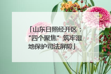 山东日照经开区：“四个聚焦”筑牢湿地保护司法屏障
