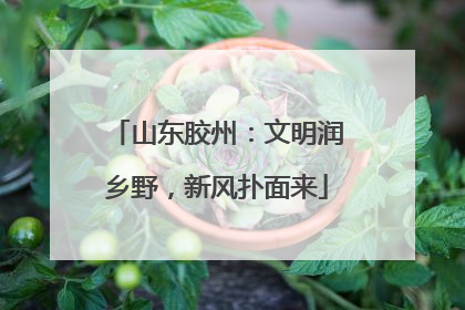 山东胶州：文明润乡野，新风扑面来