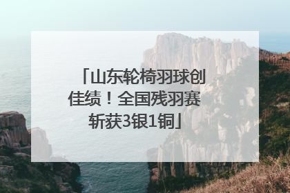 山东轮椅羽球创佳绩！全国残羽赛斩获3银1铜