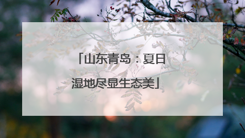 山东青岛：夏日湿地尽显生态美