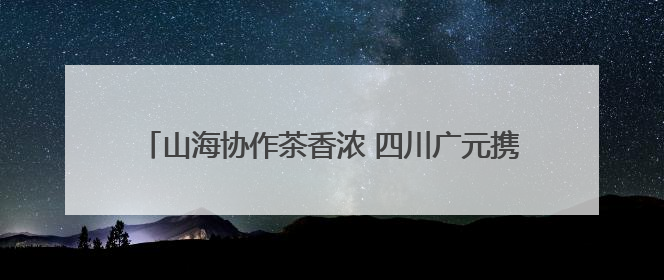 山海协作茶香浓 四川广元携“茶礼”赴杭续写共富新篇