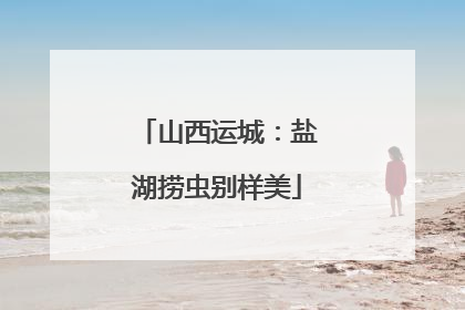 山西运城：盐湖捞虫别样美