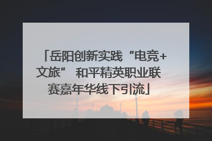 岳阳创新实践“电竞+文旅” 和平精英职业联赛嘉年华线下引流