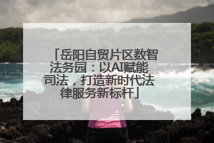 岳阳自贸片区数智法务园：以AI赋能司法，打造新时代法律服务新标杆