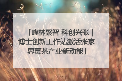 峰林聚智 科创兴张｜博士创新工作站激活张家界莓茶产业新动能