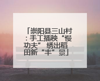 崇阳县三山村：手工插秧“慢功夫” 绣出稻田新“丰”景