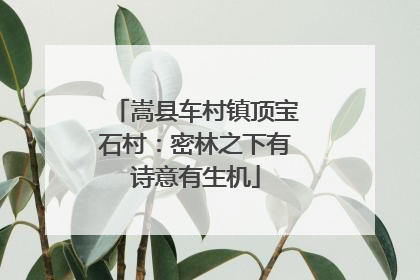 嵩县车村镇顶宝石村：密林之下有诗意有生机