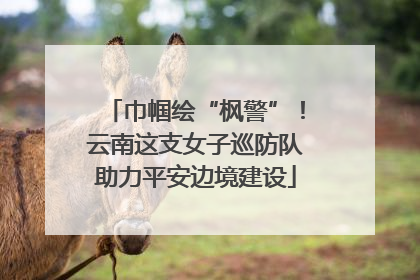 巾帼绘“枫警”！云南这支女子巡防队助力平安边境建设