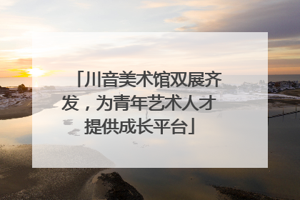 川音美术馆双展齐发，为青年艺术人才提供成长平台