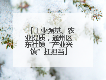 工业强基、农业提质，通州区东社镇“产业兴镇”扛担当