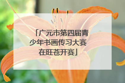 广元市第四届青少年书画传习大赛在旺苍开赛