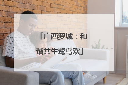 广西罗城：和谐共生鹭鸟欢
