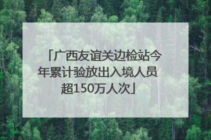 广西友谊关边检站今年累计验放出入境人员超150万人次
