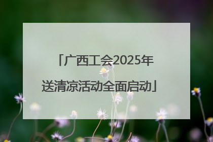 广西工会2025年送清凉活动全面启动