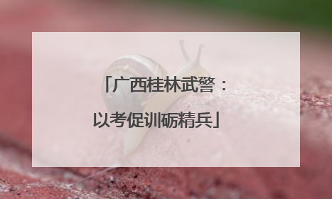 广西桂林武警：以考促训砺精兵