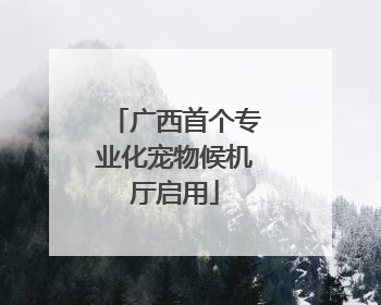 广西首个专业化宠物候机厅启用
