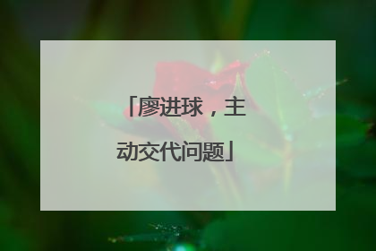 廖进球，主动交代问题