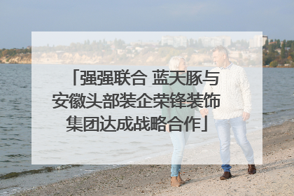 强强联合 蓝天豚与安徽头部装企荣锋装饰集团达成战略合作