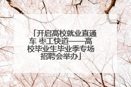 开启高校就业直通车 枣工快道——高校毕业生毕业季专场招聘会举办