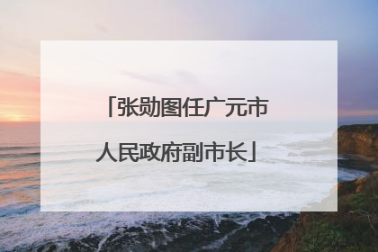 张勋图任广元市人民政府副市长