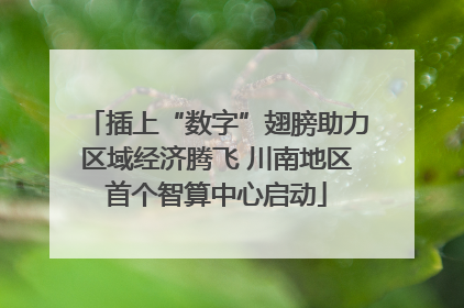 插上“数字”翅膀助力区域经济腾飞 川南地区首个智算中心启动