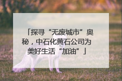 探寻“无废城市”奥秘，中石化黄石公司为美好生活“加油”