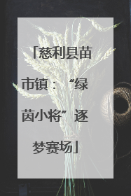 慈利县苗市镇：“绿茵小将”逐梦赛场