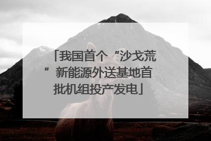 我国首个“沙戈荒”新能源外送基地首批机组投产发电