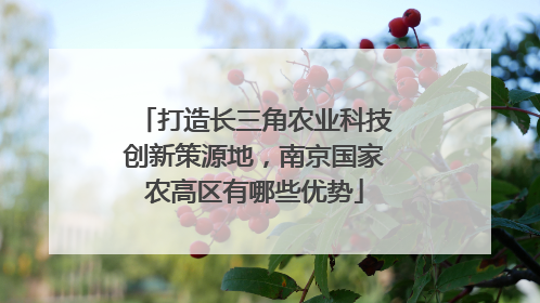 打造长三角农业科技创新策源地，南京国家农高区有哪些优势
