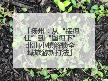 扬州：从“接得住”到“留得下” 北山小镇解锁全域旅游新打法