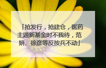 抢发行，抢建仓，医药主题新基金时不我待，范妍、徐彦等反按兵不动