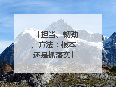 担当、韧劲、方法：根本还是抓落实