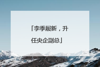 李季履新，升任央企副总
