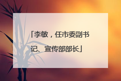 李敏，任市委副书记、宣传部部长