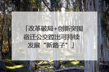 改革破局+创新突围 宿迁公交蹚出可持续发展“新路子”
