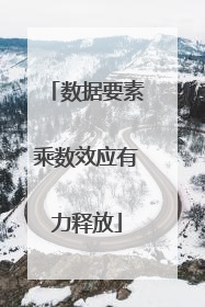 数据要素乘数效应有力释放