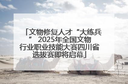 文物修复人才“大练兵” 2025年全国文物行业职业技能大赛四川省选拔赛即将启幕