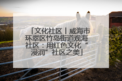 文化社区丨威海市环翠区竹岛街道观海社区：用红色文化“浸润”社区之美