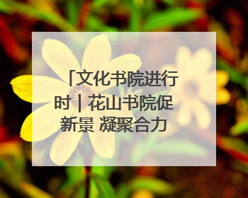 文化书院进行时｜花山书院促新景 凝聚合力促善治