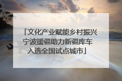 文化产业赋能乡村振兴 宁波援疆助力新疆库车入选全国试点城市