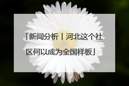 新闻分析丨河北这个社区何以成为全国样板