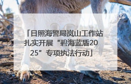 日照海警局岚山工作站扎实开展“碧海蓝盾2025”专项执法行动
