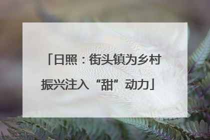 日照：街头镇为乡村振兴注入“甜”动力