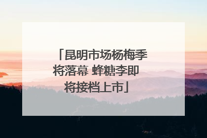 昆明市场杨梅季将落幕 蜂糖李即将接档上市