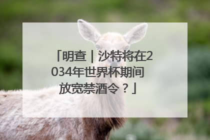 明查｜沙特将在2034年世界杯期间放宽禁酒令？